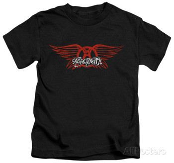 Youth: Aerosmith - Winged Logo