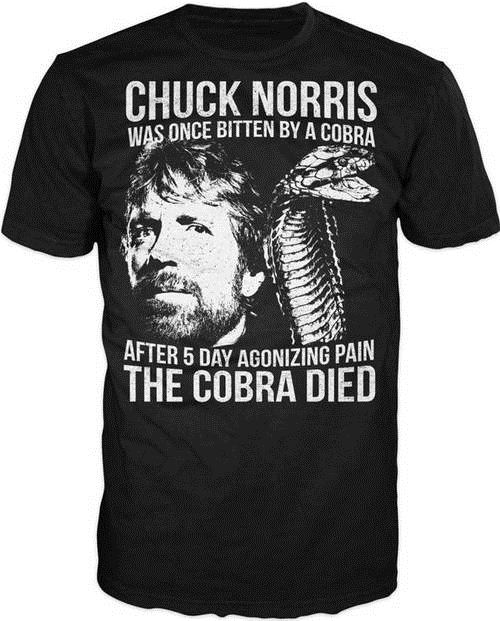 chuck norris approved t shirt