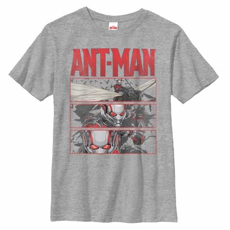 Ant-Man Art Panels Youth T-Shirt